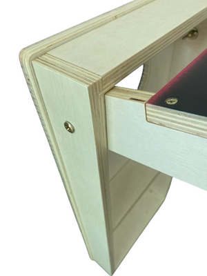 Mini Cornhole Set | Premium Series | Boards, Bags, Carry Case | SAVE $50